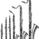 donne cours de clarinette et saxophone sur Paris et banlieue